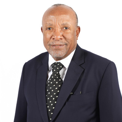His Excellency Dr. Nangolo Mbumba